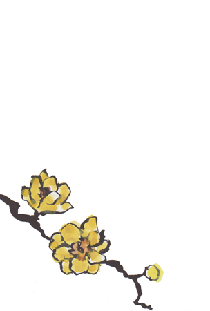 蝋梅の花を描いた大人デザインの寒中見舞い