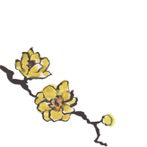 手描きした蝋梅の花のイラスト