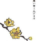 黄色の蝋梅の花のイラスト