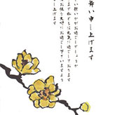 蝋梅の花のイラスト