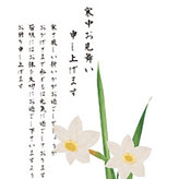 水仙の花のイラスト