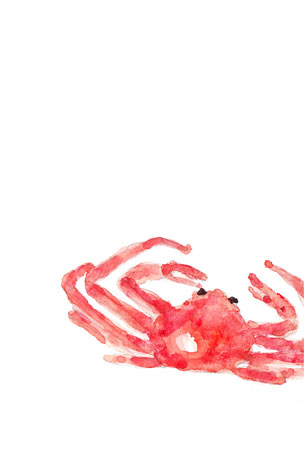 水彩で描いた大きな蟹のイラスト