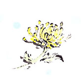 手描きした菊の花