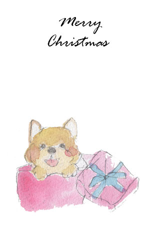 プレゼントボックスと犬のクリスマスカード