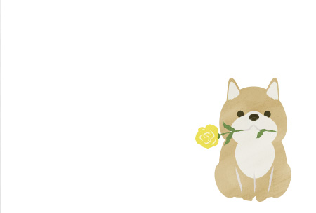 黄色いバラを咥えた柴犬のイラスト