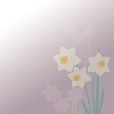 落ち着きのある紫の背景と水仙の花の喪中はがき