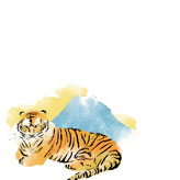 虎と富士山のデザイン年賀状