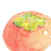 美味しそうな柿のイラスト