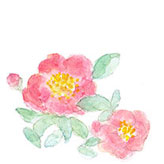 山茶花の花のイラスト