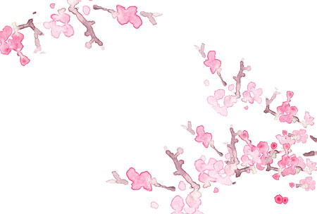 梅の花のイラストを描いた絵はがき さきちん絵葉書