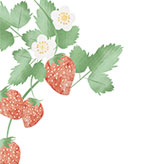 和紙で描いた苺のイラスト
