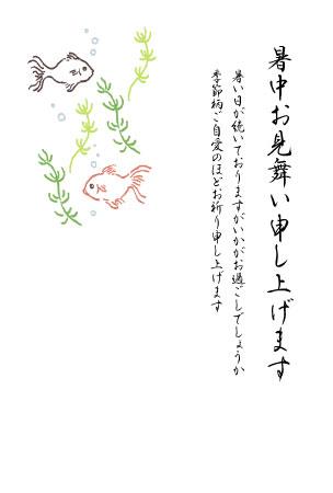 金魚と水草のイラストと文章を入れた暑中見舞いの絵葉書
