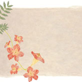 和紙で作った凌霄花のイラスト