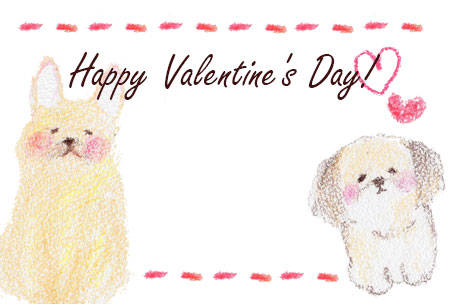 柴犬とシーズーを描いたバレンタインカード